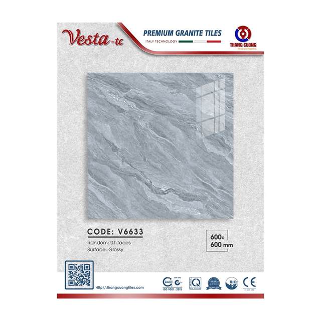 Gạch Porcelain Thắng Cường 60x60 V6633