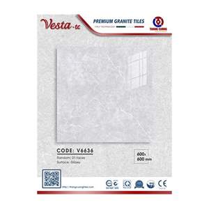 Gạch Porcelain Thắng Cường 60x60 V6636