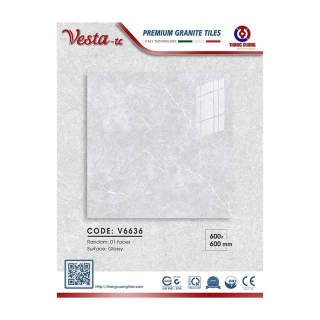Gạch Porcelain Thắng Cường 60x60 V6636