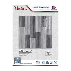 Gạch Porcelain Thắng Cường 60x60 V6637