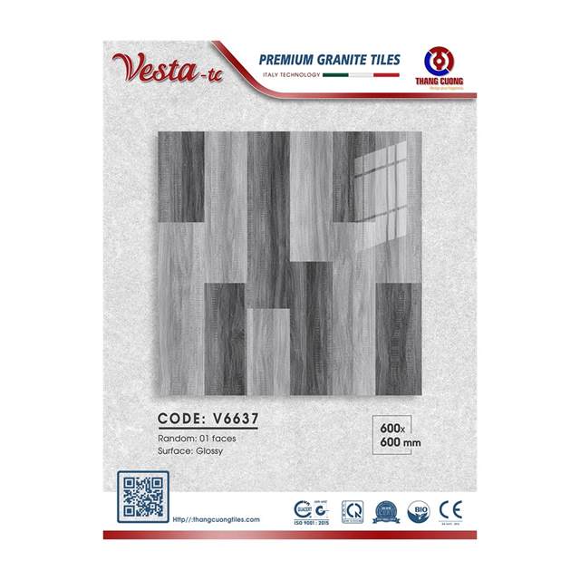 Gạch Porcelain Thắng Cường 60x60 V6637