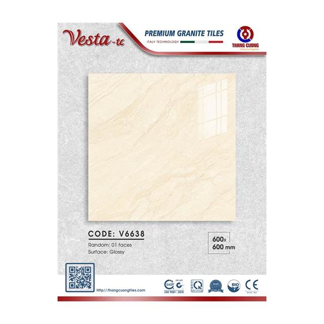 Gạch Porcelain Thắng Cường 60x60 V6638