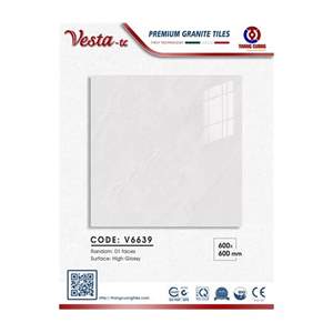 Gạch Porcelain Thắng Cường 60x60 V6639