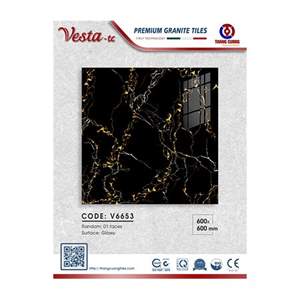 Gạch Porcelain Thắng Cường 60x60 V6653