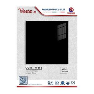 Gạch Porcelain Thắng Cường 60x60 V6656