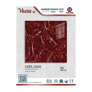 Gạch Porcelain Thắng Cường 60x60 V6666