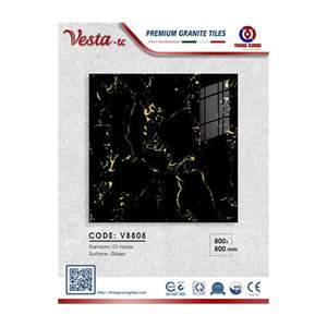 Gạch Porcelain Thắng Cường 80x80 V8808