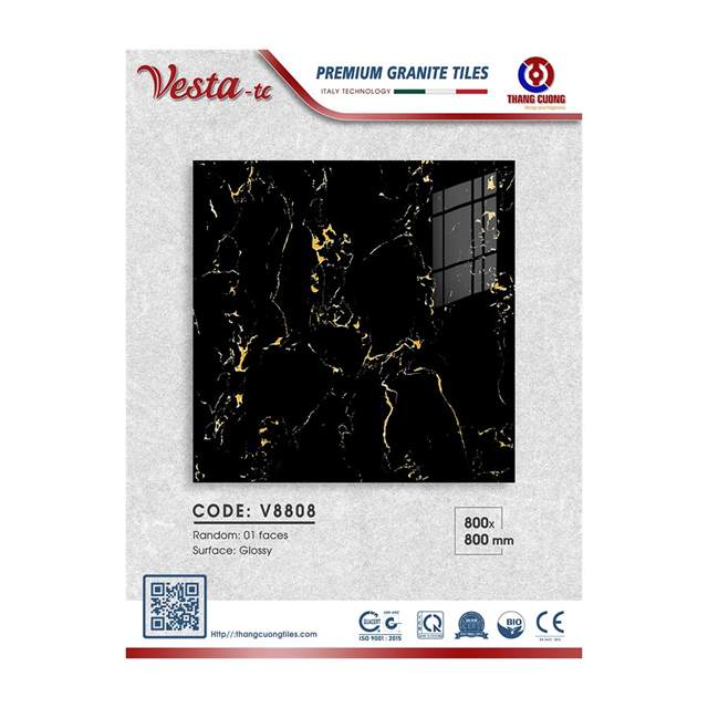 Gạch Porcelain Thắng Cường 80x80 V8808