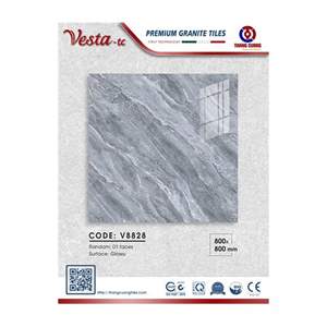 Gạch Porcelain Thắng Cường 80x80 V8828