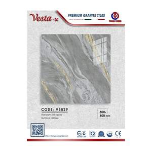 Gạch Porcelain Thắng Cường 80x80 V8829