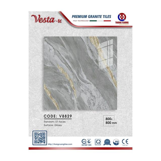 Gạch Porcelain Thắng Cường 80x80 V8829