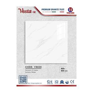 Gạch Porcelain Thắng Cường 80x80 V8830