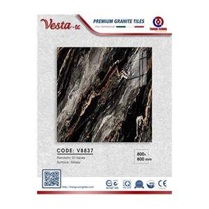 Gạch Porcelain Thắng Cường 80x80 V8837
