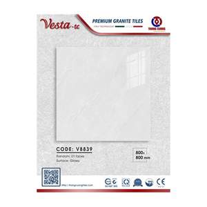 Gạch Porcelain Thắng Cường 80x80 V8839