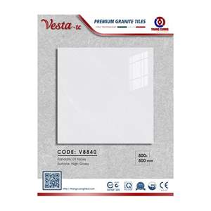Gạch Porcelain Thắng Cường 80x80 V8840