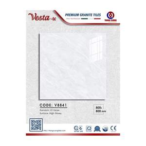 Gạch Porcelain Thắng Cường 80x80 V8841