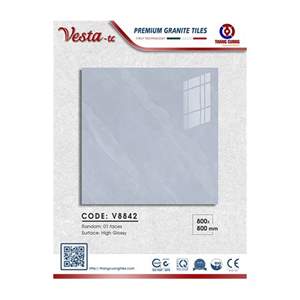 Gạch Porcelain Thắng Cường 80x80 V8842