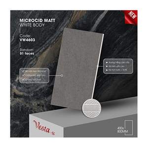 Gạch Porcelain Thắng Cường 40x80 VW4603
