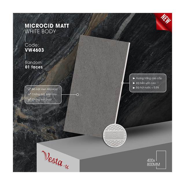 Gạch Porcelain Thắng Cường 40x80 VW4603