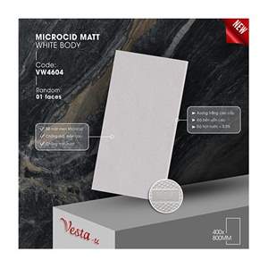 Gạch Porcelain Thắng Cường 40x80 VW4604