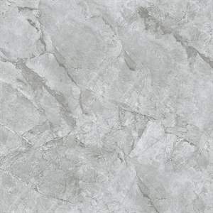 Gạch Takao Sapphire 31102 100x100