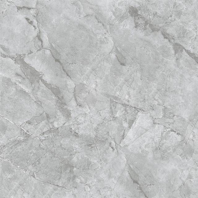 Gạch Takao Sapphire 31102 100x100