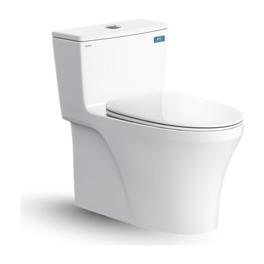 Bàn cầu một khối Viglacera HL2