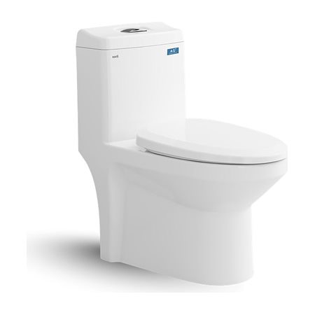 Bàn cầu một khối Viglacera S301