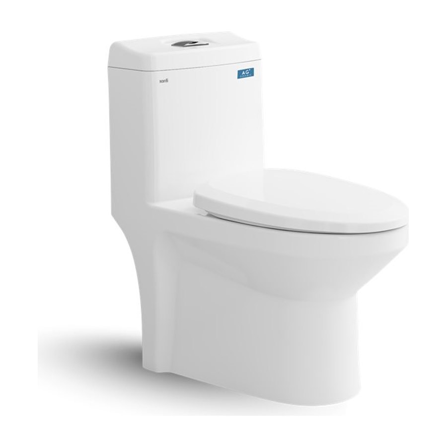 Bàn cầu một khối Viglacera S301