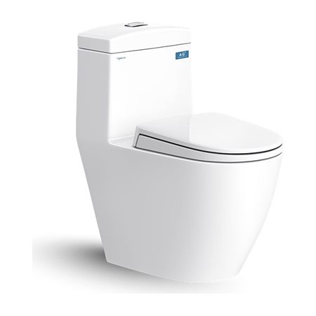 Bàn cầu một khối Viglacera V199