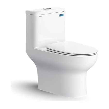 Bàn cầu một khối Viglacera V64
