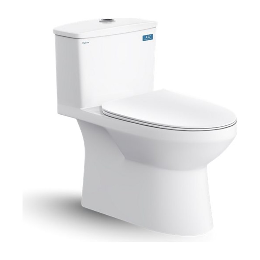 Bàn cầu một khối Viglacera V811