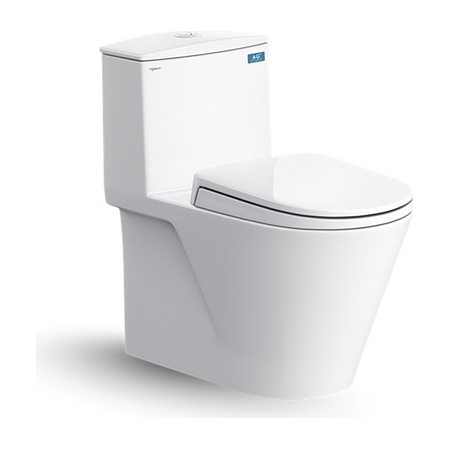 Bàn cầu một khối Viglacera V817