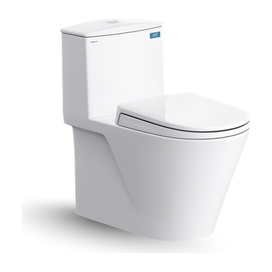 Bàn cầu một khối Viglacera V817