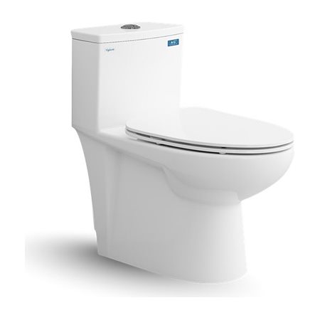 Bàn cầu một khối Viglacera V819