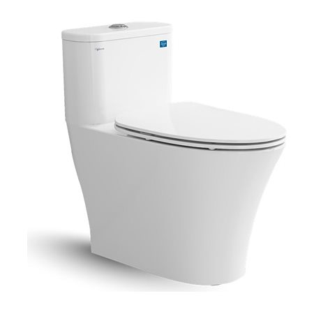 Bàn cầu một khối Viglacera V829