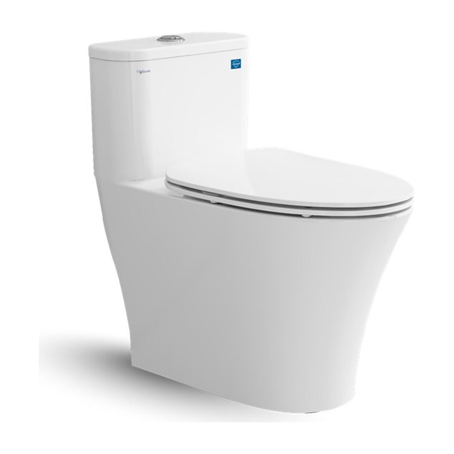 Bàn cầu một khối Viglacera V829