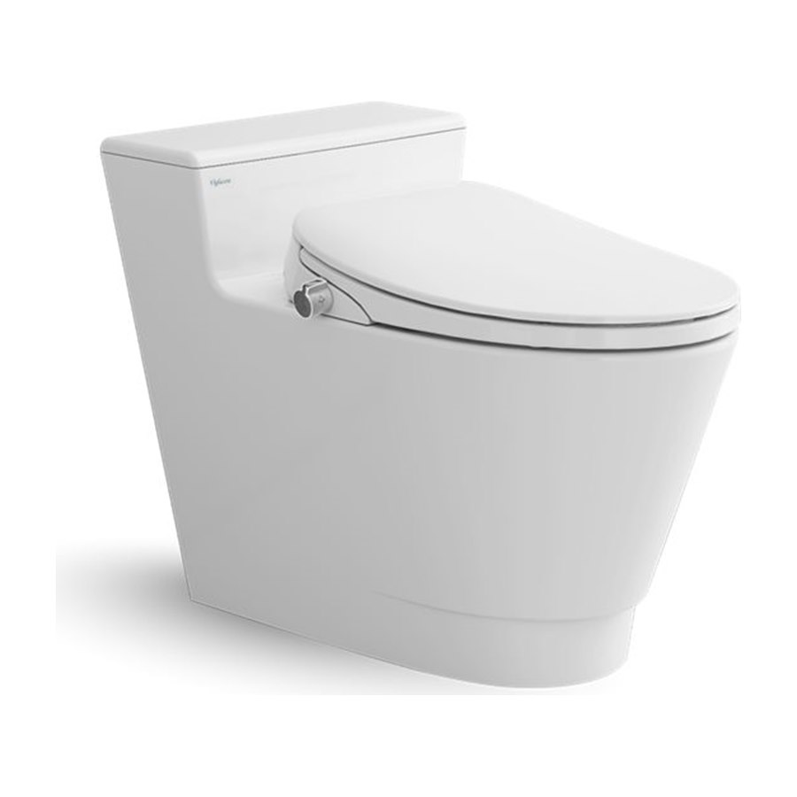 Bàn cầu một khối Viglacera V899D - BST SAPA