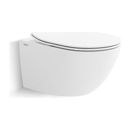 Bàn cầu treo tường Viglacera V902