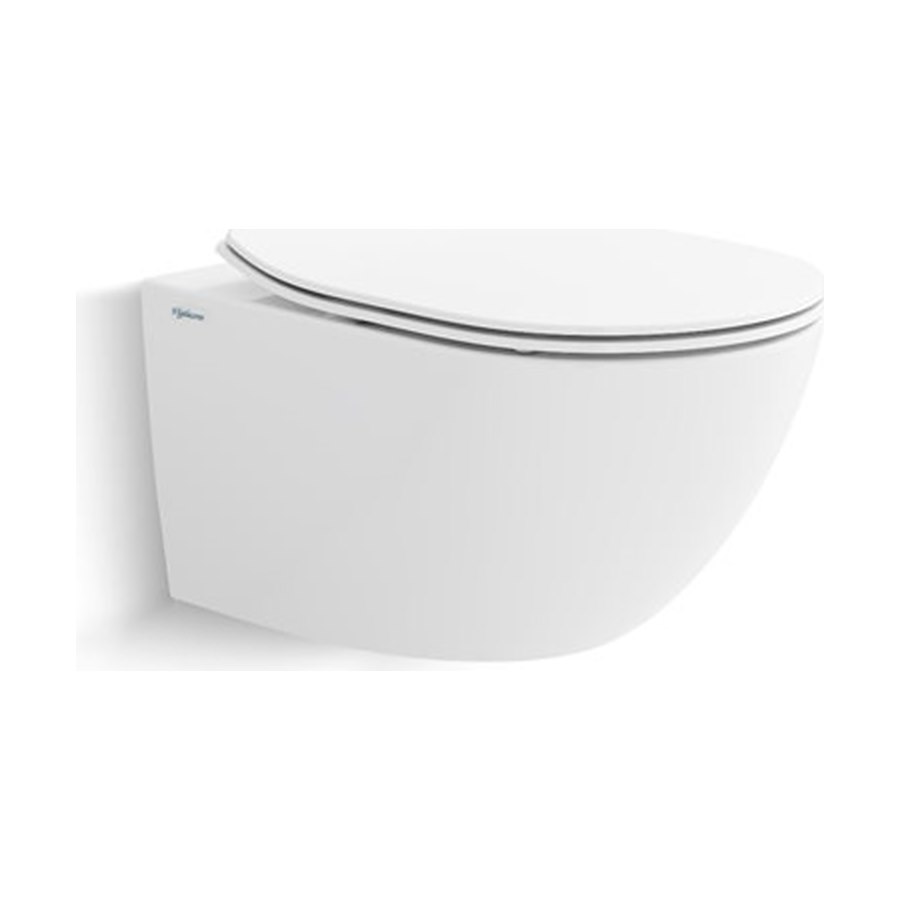 Bàn cầu treo tường Viglacera V902
