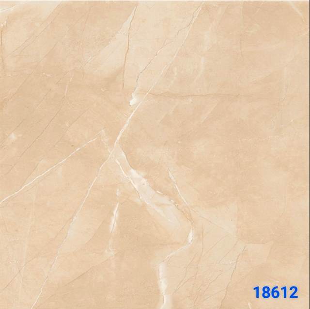 Gạch Ấn Độ 80x80 – mã QHa569b