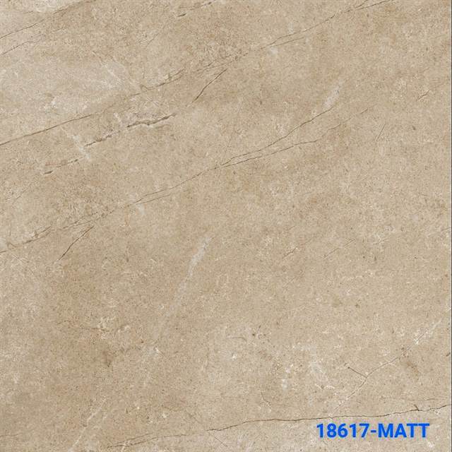 Gạch Ấn Độ 80x80 – mã QH10200