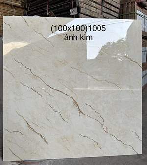 Gạch Trung Quốc 100x100 – mã QHb9469