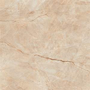 Gạch Ấn Độ 100x100 – mã QH5e40c