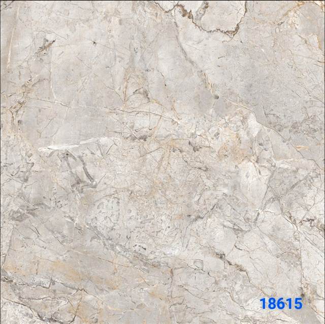 Gạch Ấn Độ 80x80 – mã QH21053
