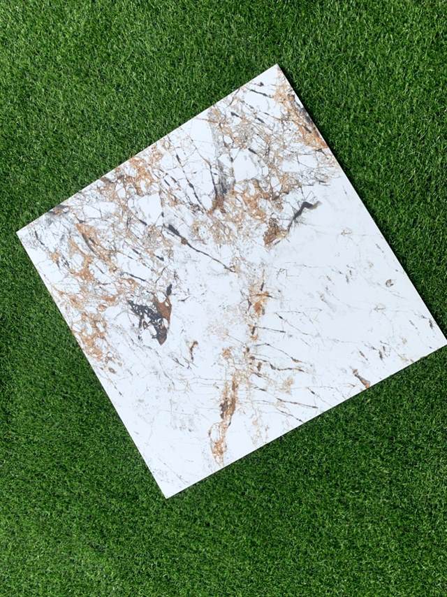 Gạch Ấn Độ 60x60 – mã QHb6453