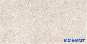 Gạch Ấn Độ 60x120 – mã QHd93b2