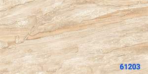 Gạch Ấn Độ 60x120 – mã QHdca2a