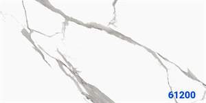 Gạch Ấn Độ 60x120 – mã QHc274c