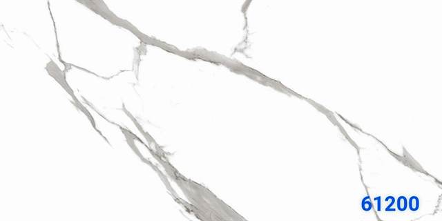 Gạch Ấn Độ 60x120 – mã QHc274c